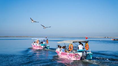Flamingo Yolu turları bayramda da devam ediyor