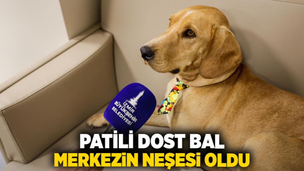 Patili dost Bal, merkezin neşesi oldu