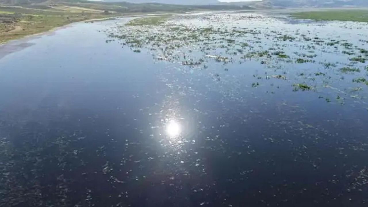 4 yıl önce kuruyan Marmara Gölü dolmaya başladı