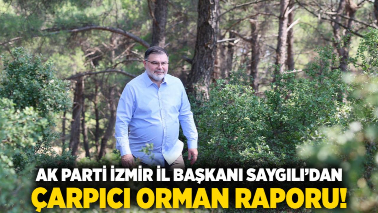 AK Parti İzmir İl Başkanı Saygılı’dan çarpıcı orman raporu!