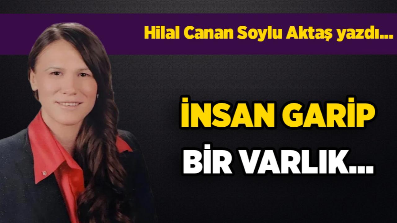 İnsan garip bir varlık...