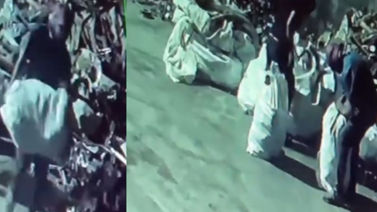 Maskelerle geldiler, çuval çuval çaldılar