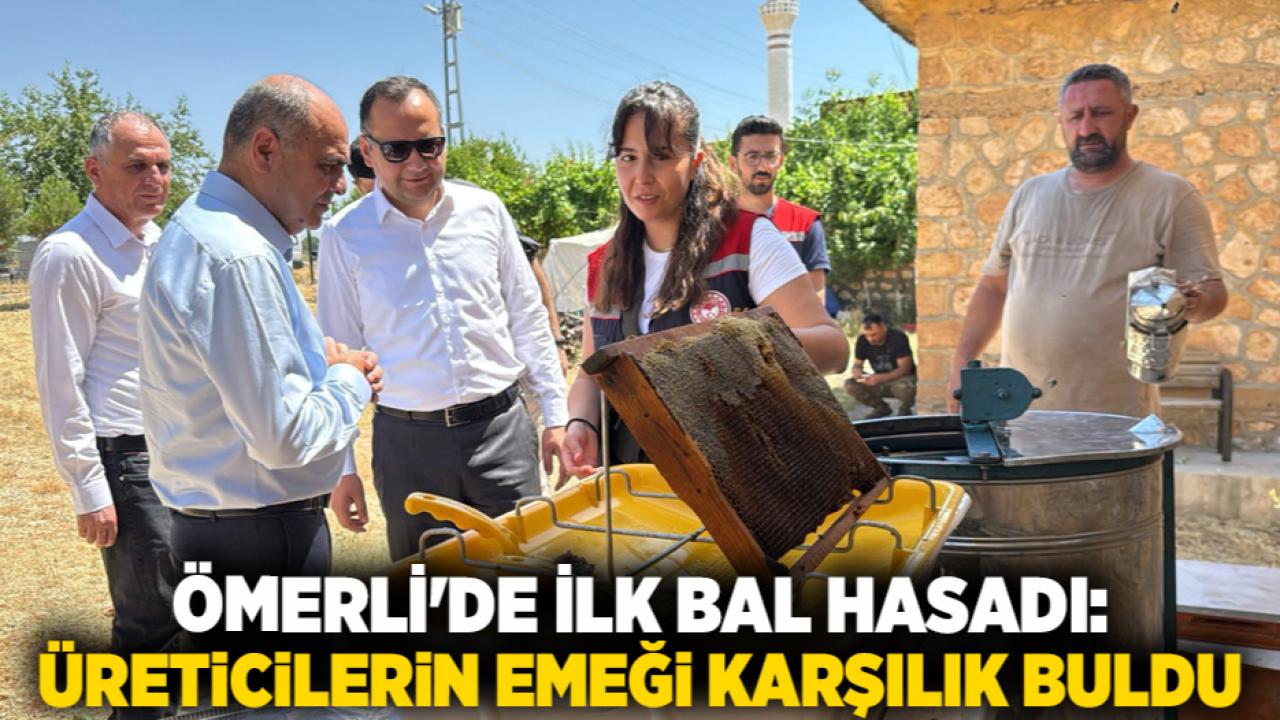 Ömerli'de İlk Bal Hasadı: Üreticilerin Emeği Karşılık Buldu